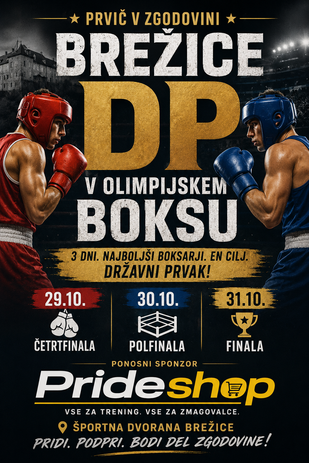 boks tekmovanje prvic brezice
