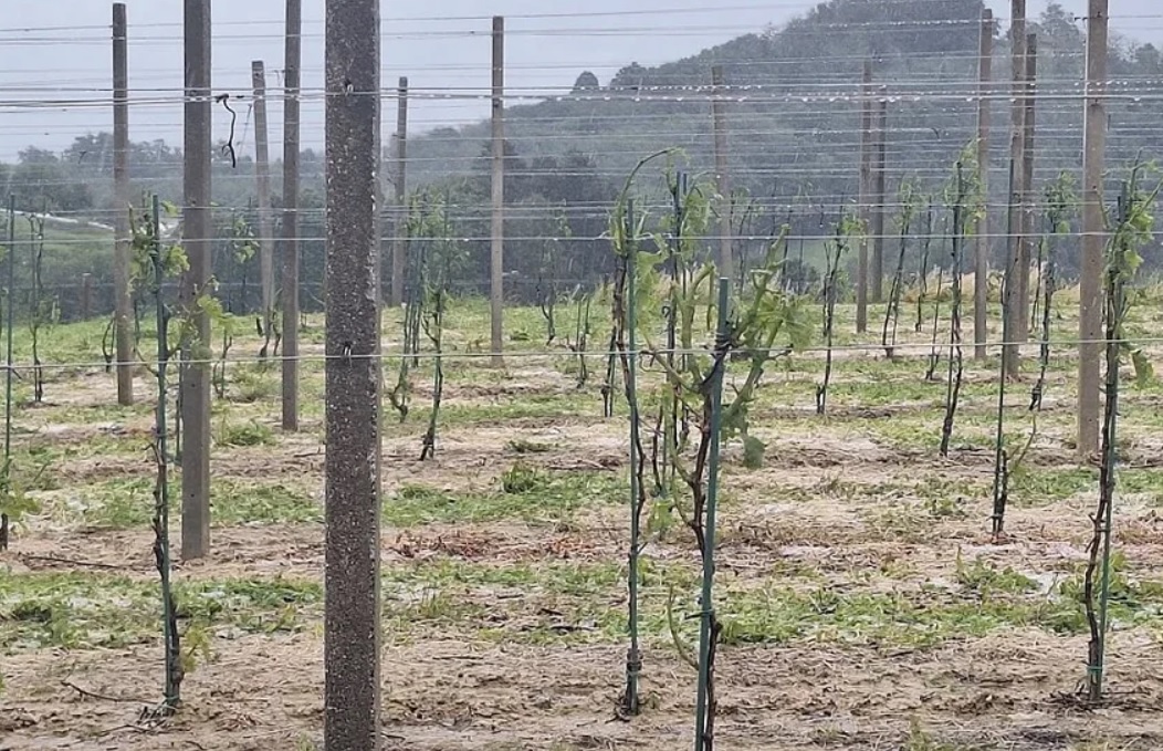 Občina Brežice po neurju maj 2026.