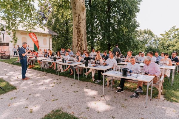 misli-modro-sevnica-2026-08C5B52865-DDAA-5F5E-AD88-E1FCF5FCBD7B.jpg