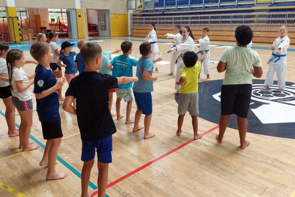 karate-klubbrezice-tabor-13DB5A6561-7022-D265-C360-C86FFB57E9C3.jpg