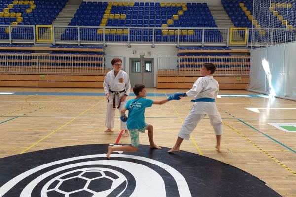 karate-klubbrezice-tabor-16D22494AF-5C34-EC93-5764-2F745AA42E67.jpg