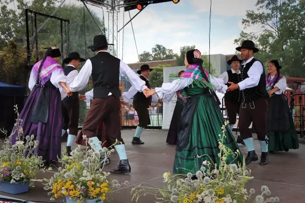 folkloristi-na-poljskem-576C905FDF-E705-7E7D-20AA-B76344AF6382.webp