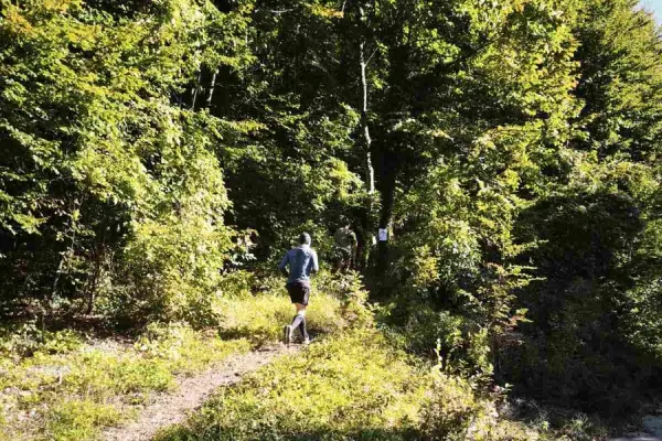 orlica-trail-run-2026-06E229E0DF-84F3-4A5C-5976-E71FFE1ACF17.webp